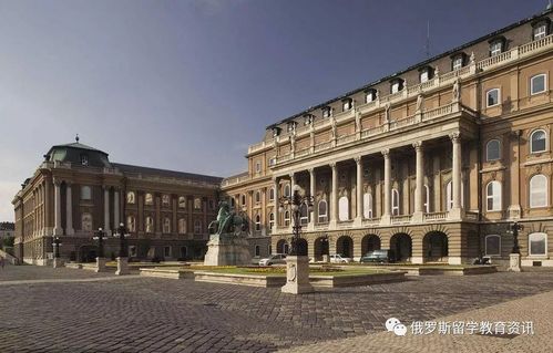 寻找留学项目合作伙伴,打造全国省市代理优秀团队